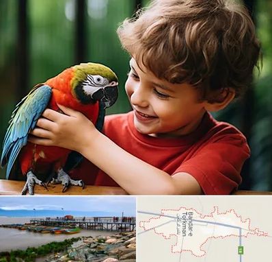پانسیون پرندگان در بندر ترکمن
