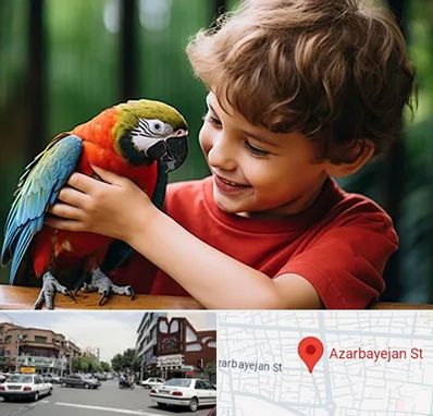 پانسیون پرندگان در خیابان آذربایجان