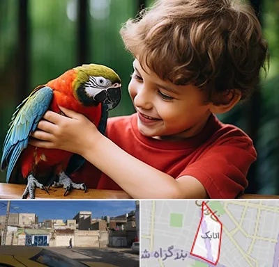 پانسیون پرندگان در اتابک