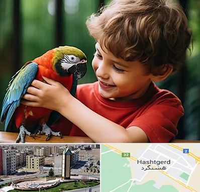 پانسیون پرندگان در هشتگرد