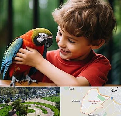 پانسیون پرندگان در مهرشهر کرج 