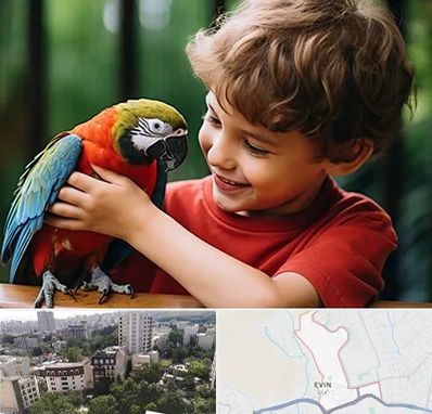 پانسیون پرندگان در اوین