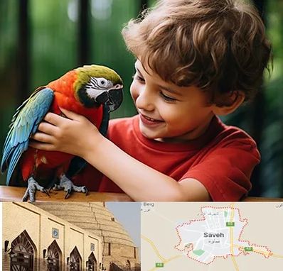 پانسیون پرندگان در ساوه