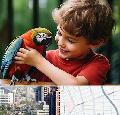 پانسیون پرندگان در خیابان بهشتی