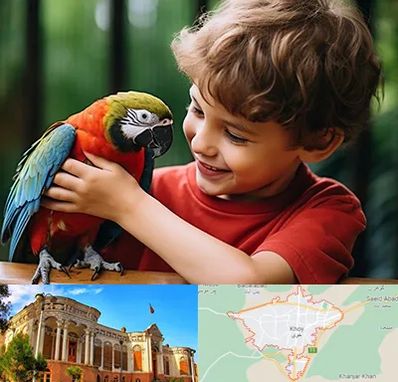 پانسیون پرندگان در خوی