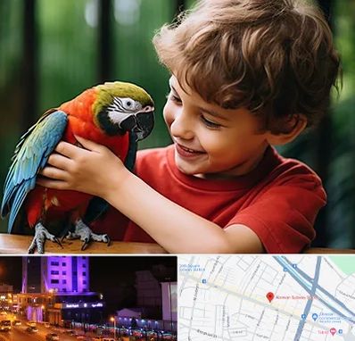 پانسیون پرندگان در آبرسان تبریز