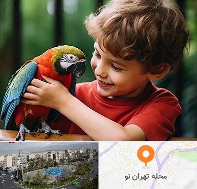 پانسیون پرندگان در تهران نو