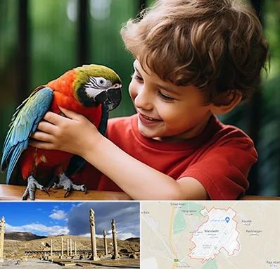 پانسیون پرندگان در مرودشت