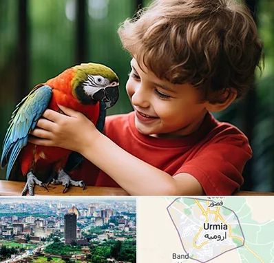 پانسیون پرندگان در ارومیه