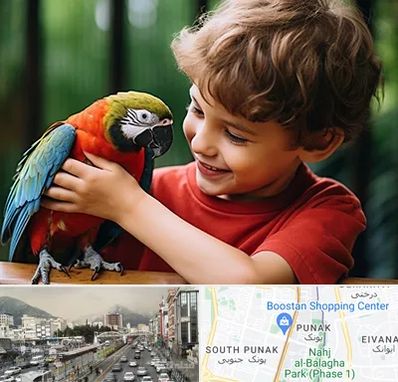 پانسیون پرندگان در پونک 