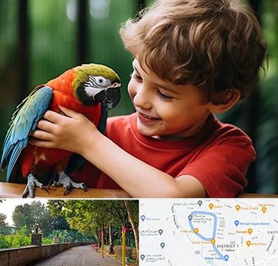 پانسیون پرندگان در بلوار گیلان رشت 