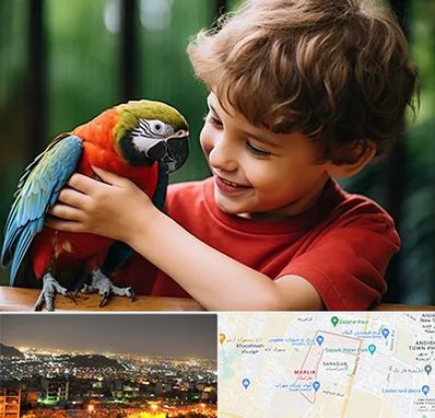 پانسیون پرندگان در مارلیک کرج 