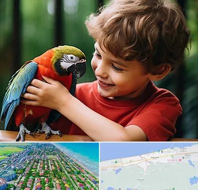 پانسیون پرندگان در فریدونکنار