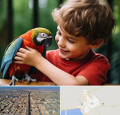 پانسیون پرندگان در بندر ماهشهر