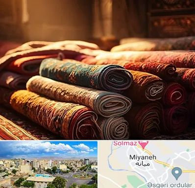 عمده فروشی فرش در میانه