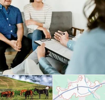 روانشناس زناشویی در تالش