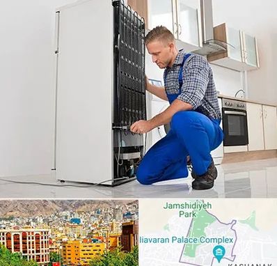 تعمیرکار سیار یخچال در نیاوران 