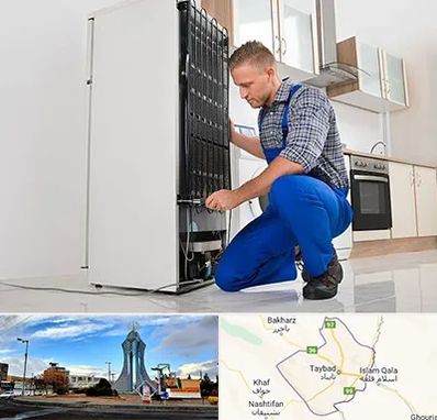 تعمیرکار سیار یخچال در تایباد