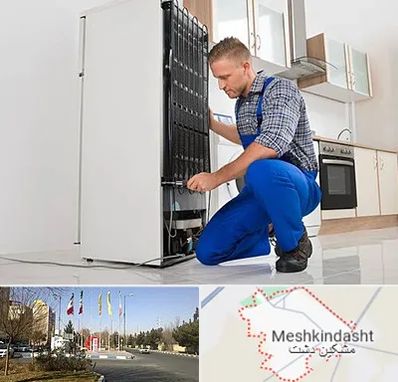 تعمیرکار سیار یخچال در مشکین دشت