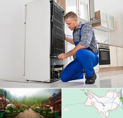 تعمیرکار سیار یخچال در فومن
