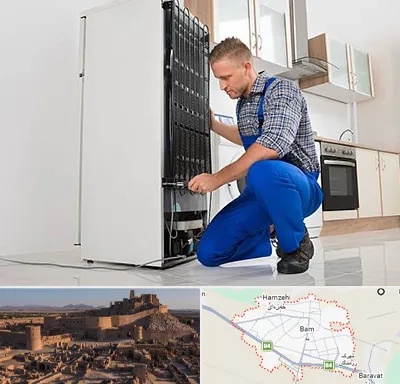 تعمیرکار سیار یخچال در بم