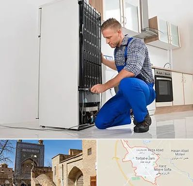 تعمیرکار سیار یخچال در تربت جام