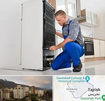 تعمیرکار سیار یخچال در زعفرانیه 