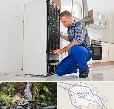 تعمیرکار سیار یخچال در الیگودرز