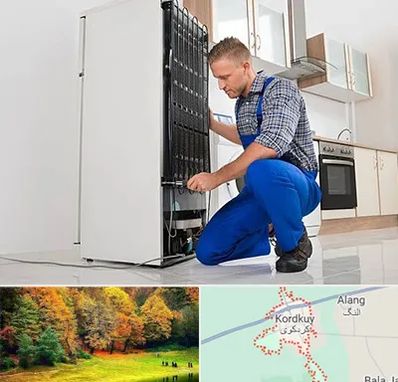 تعمیرکار سیار یخچال در کردکوی