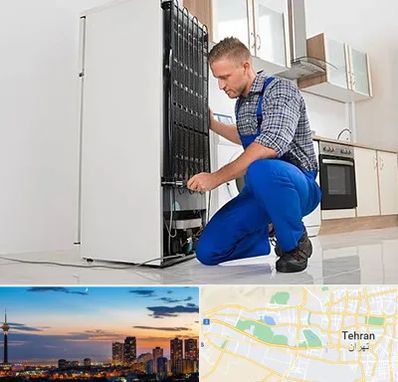تعمیرکار سیار یخچال در غرب تهران 