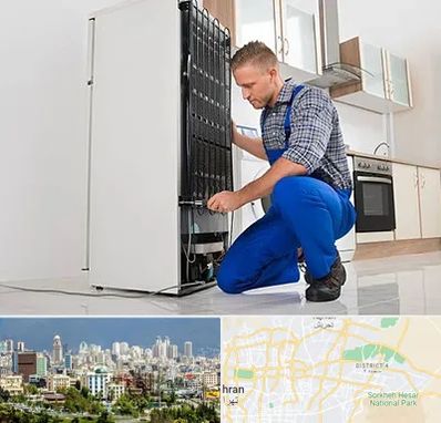 تعمیرکار سیار یخچال در شرق تهران 
