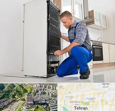 تعمیرکار سیار یخچال در شمال تهران 