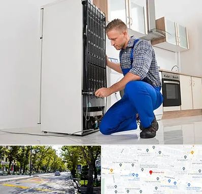 تعمیرکار سیار یخچال در میرداماد 