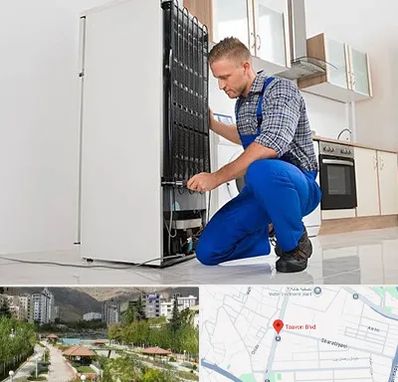 تعمیرکار سیار یخچال در بلوار تعاون