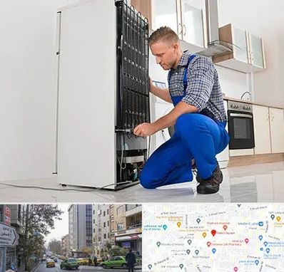 تعمیرکار سیار یخچال در فاطمی 