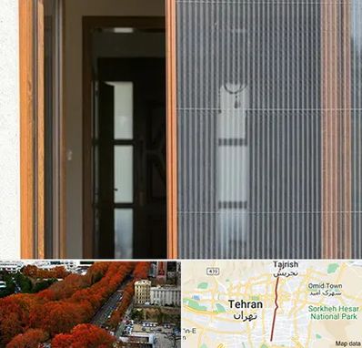 توری پلیسه ای در ولیعصر 