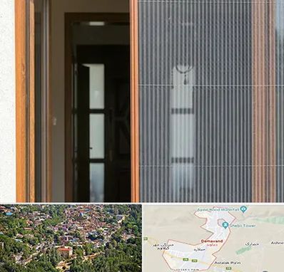 توری پلیسه ای در دماوند