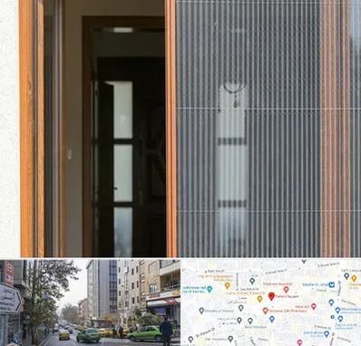 توری پلیسه ای در فاطمی 