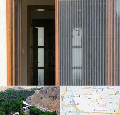 توری پلیسه ای در کن 