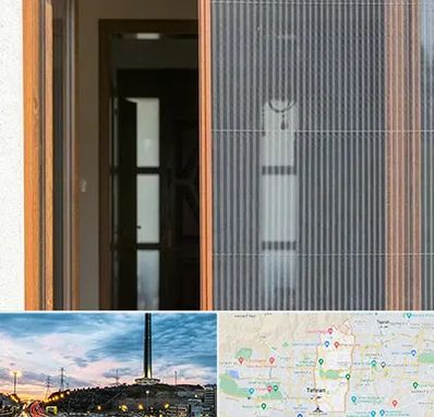 توری پلیسه ای در منطقه 2 تهران 