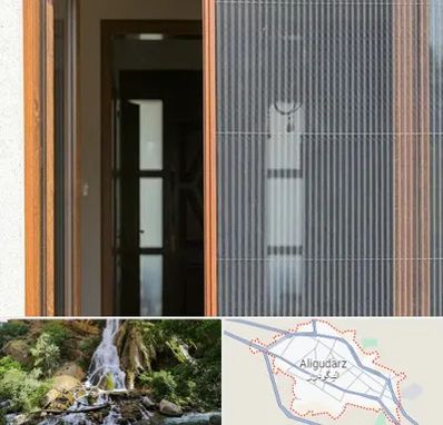 توری پلیسه ای در الیگودرز