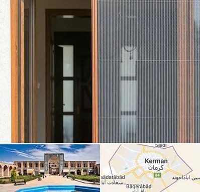 توری پلیسه ای در کرمان