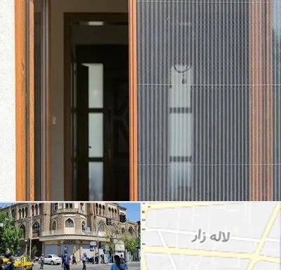 توری پلیسه ای در لاله زار