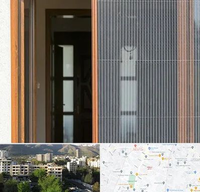 توری پلیسه ای در دیباجی 