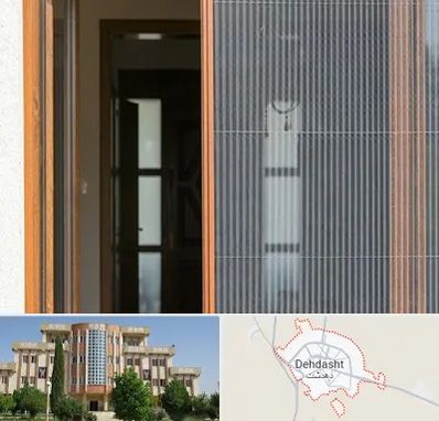 توری پلیسه ای در دهدشت