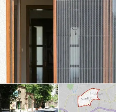 توری پلیسه ای در دزاشیب