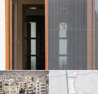 توری پلیسه ای در اسکندری