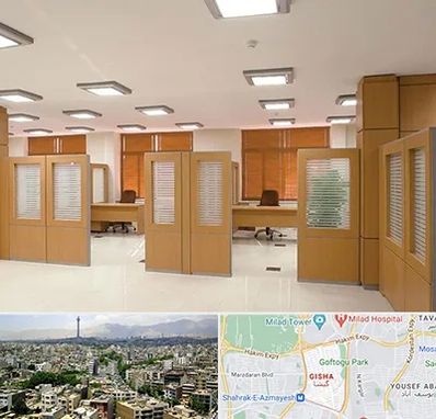 پارتیشن ام دی اف در گیشا 