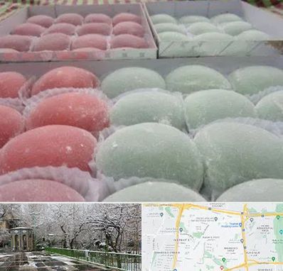 موچی فروشی در باغ فیض 