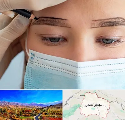 کاشت ابرو در خراسان شمالی